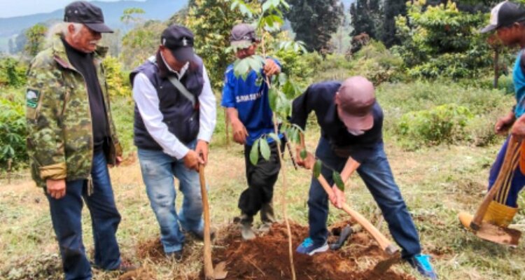 Sumber: https'//www.mediapatriot.co.id 2025 2012 12 02 19 41 46 876252.jpg Sumber: https'//www.mediapatriot.co.id 2025 2012 12 02 19 41 46 876252.jpg