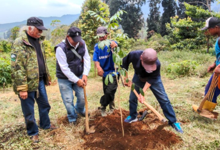 Sumber: https'//www.mediapatriot.co.id 2025 2012 12 02 19 41 46 876252.jpg