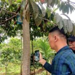 Sumber: https'//www.mediapatriot.co.id 2025 2012 12 02 21 04 50 486181.jpg Sumber: https'//www.mediapatriot.co.id 2025 2012 12 02 21 04 50 486181.jpg