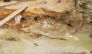 IMG 20251203 WA0014 IMG 20251203 WA0014