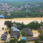 IMG 20251205 WA0010 IMG 20251205 WA0010