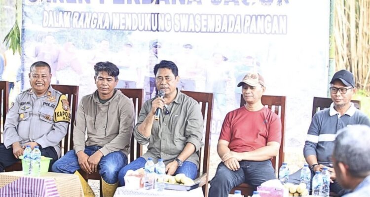 Gambar WhatsApp 2025 12 06 pukul 17.55.51 efd269ee Gambar WhatsApp 2025 12 06 pukul 17.55.51 efd269ee