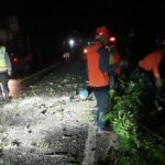 IMG 20251207 WA0029 IMG 20251207 WA0029