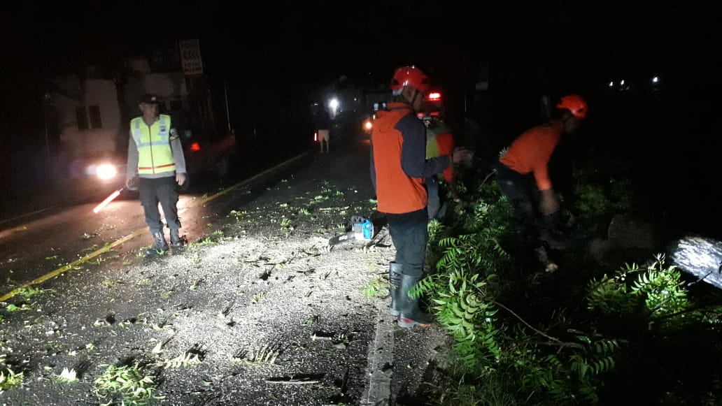 IMG 20251207 WA0029 IMG 20251207 WA0029