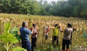 IMG 20251207 WA0027 IMG 20251207 WA0027