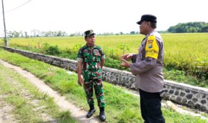 IMG 20251215 WA0033 IMG 20251215 WA0033