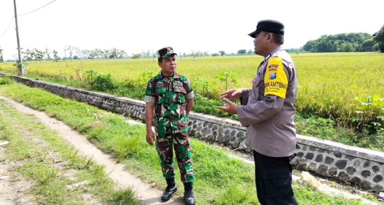 IMG 20251215 WA0033 IMG 20251215 WA0033