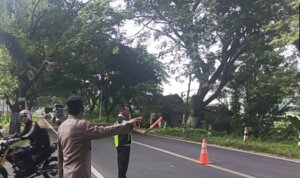 IMG 20251216 WA0022 IMG 20251216 WA0022