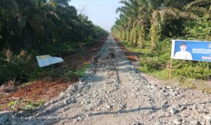 IMG-20251217-WA0003 IMG 20251217 WA0003