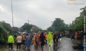 IMG 20251219 WA0004 IMG 20251219 WA0004