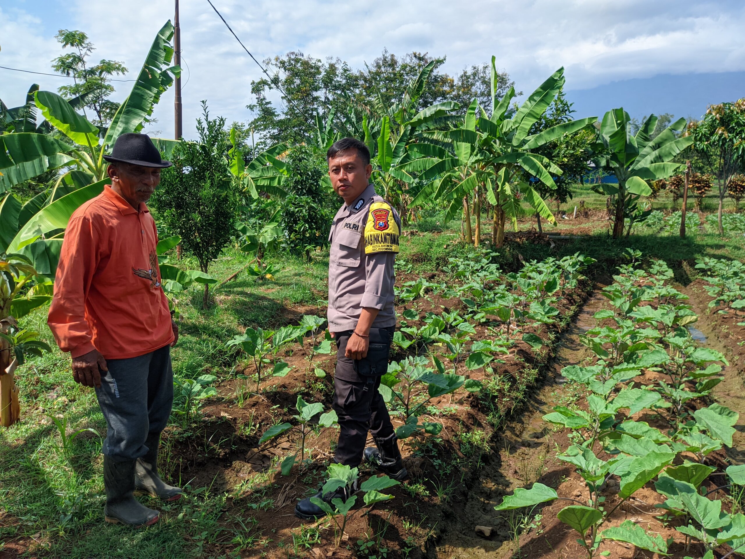 IMG 20251201 WA0034 IMG 20251201 WA0034