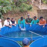 IMG 20251204 WA0029 IMG 20251204 WA0029