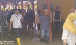 IMG 20251210 WA0019 IMG 20251210 WA0019