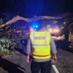 IMG-20260112-WA0026(1)