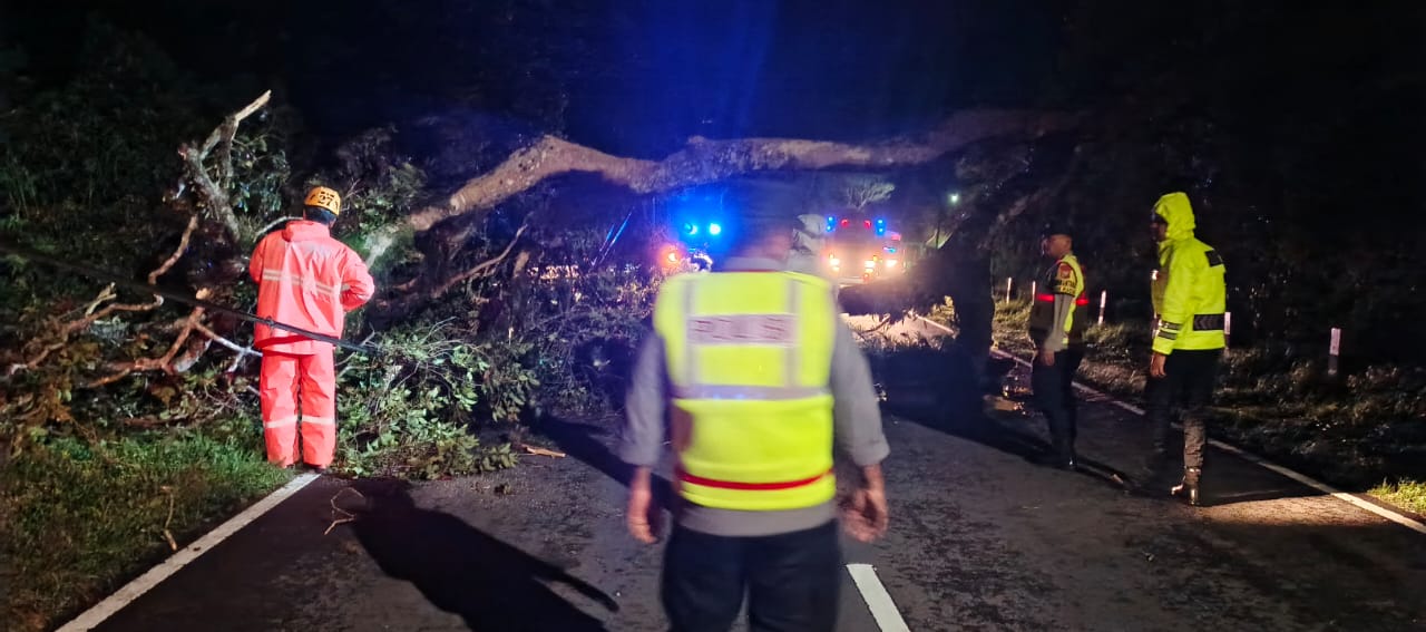 IMG-20260112-WA0026(1)