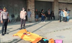 Screenshot_20260117_005954