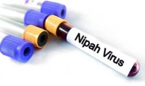 Screenshot_20260201_123828