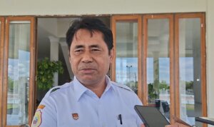 WhatsApp Image 2026-02-13 at 19.05.24