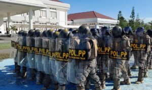 WhatsApp Image 2026-02-13 at 19.05.25