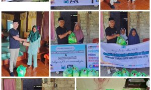 WhatsApp Image 2026-02-18 at 19.52.36