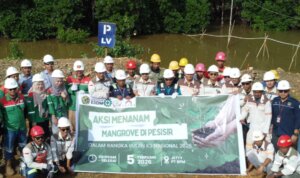 WhatsApp Image 2026-02-26 at 19.49.39