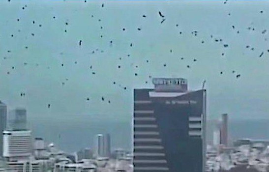 Screenshot_20260327_062727