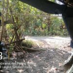 Screenshot_20260312_102028