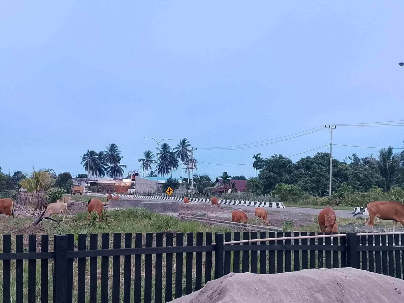 WhatsApp Image 2026-03-01 at 22.17.00