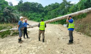 WhatsApp Image 2026-03-03 at 21.08.43